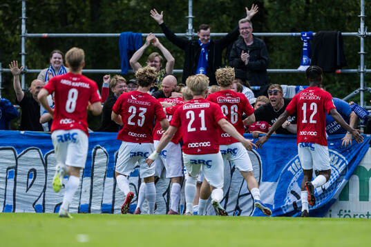 Trelleborgsspelarna jublar
