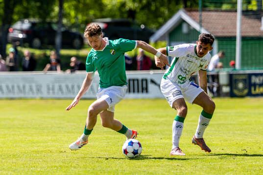 Ljungskiles Daniel Ljung
