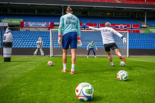 Goalkeeper Ørjan Håskjold Nyland, goalkeeper Egil Selvik