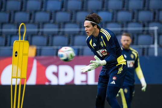 Goalkeeper Jacob Widell Zetterström of the Swedish