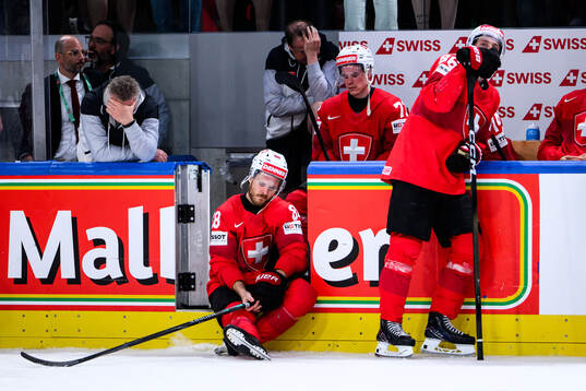 Christoph Bertschy and Janis Moser of Switzerland looks