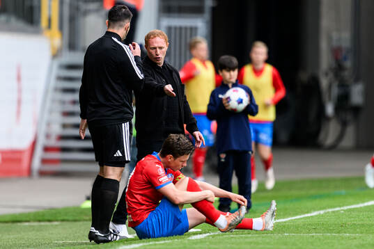 Helsingborgs manager Stevie Grieve