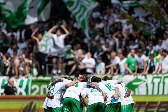 Hammarbys spelare samlade