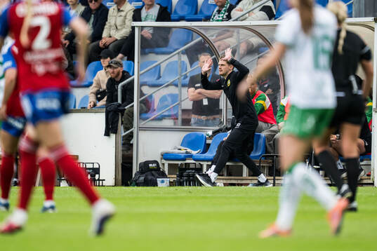 Hammarbys tränare William Strömberg reagerar