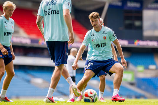 Henrik Falchener of the Norwegian national football team