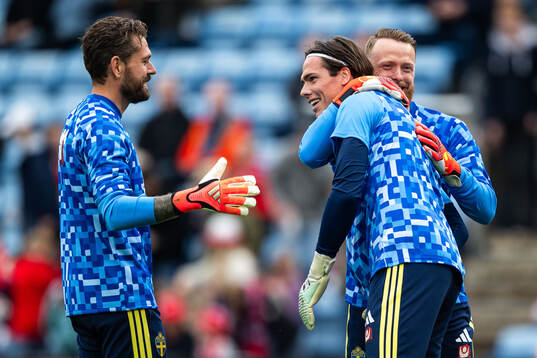 goalkeeper Kristoffer Nordfeldt, goalkeeper Jacob Widell
