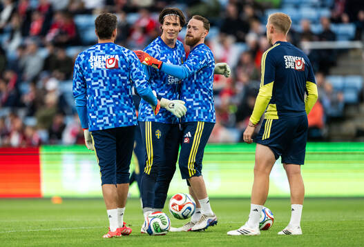 Goalkeeper Kristoffer Nordfeldt, goalkeeper Jacob Widell