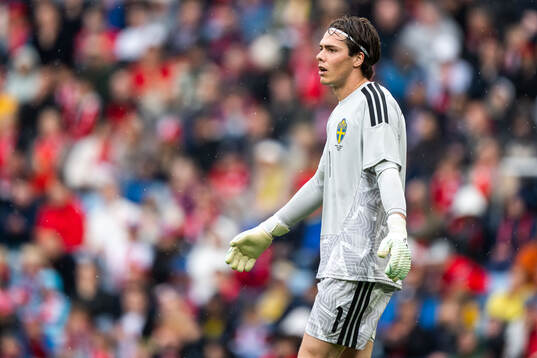 Goalkeeper Jacob Widell Zetterström of Sweden