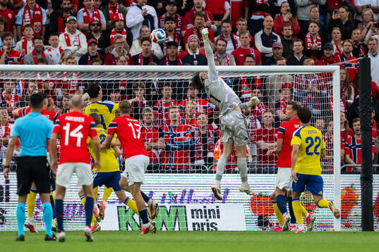Goalkeeper Jacob Widell Zetterström of Sweden
