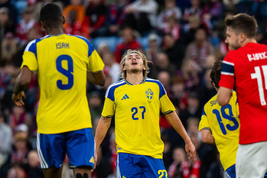 Sebastian Nanasi of Sweden looks dejected
