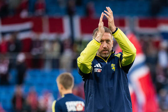 Head coach Graham Potter of Sweden