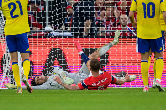 Goalkeeper Jacob Widell Zetterström of Sweden lets in the