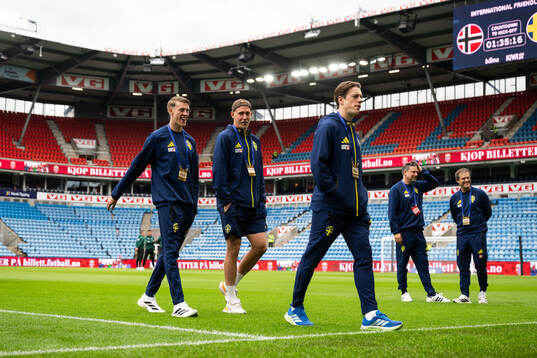 Alexander Bernhardsson, Herman Johansson and Elliot Stroud