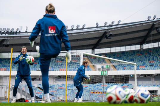 Goalkeeper Zecira Musovic, goalkeeper Jennifer Falk and