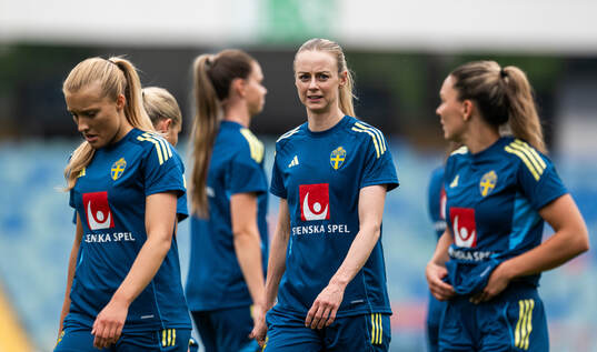 Amanda Ilestedt of the Swedish women's national football
