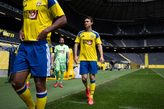 Hjalmar Ekdal of the Swedish national football team