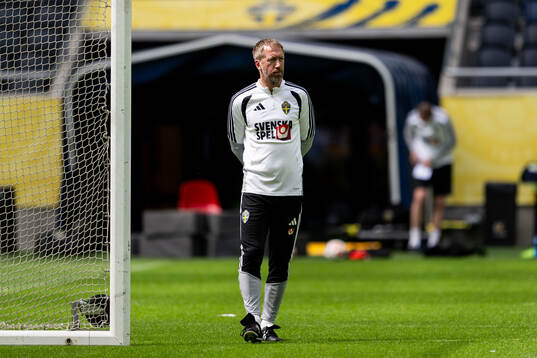 Head coach Graham Potter of the Swedish national football