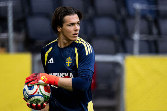 Goalkeeper Jacob Widell Zetterström of the Swedish