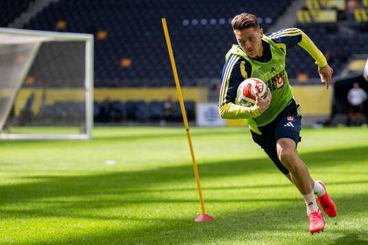 Bläddra bland fler bilder av Football, FIFA World Cup, Sweden, Training