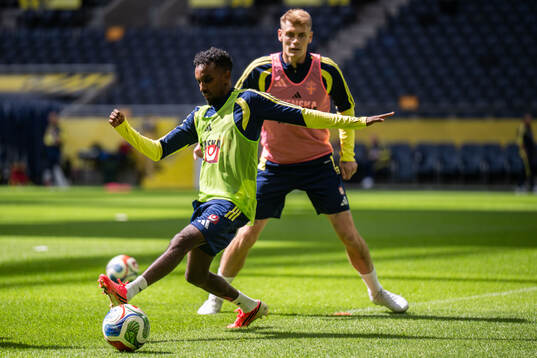 Taha Ali of the Swedish national football team at a
