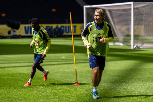 Sebastian Nanasi of the Swedish national football team at a