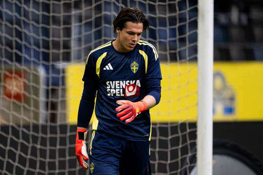 Goalkeeper Jacob Widell Zetterström of the Swedish