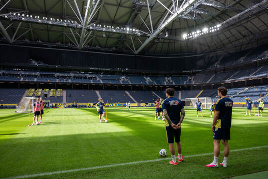 General view of the Swedish national football team at a