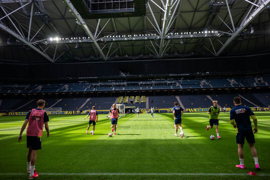 General view of the Swedish national football team at a