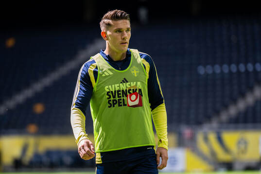 Viktor Gyökeres of the Swedish national football team at a