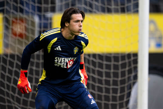 Goalkeeper Jacob Widell Zetterström of the Swedish