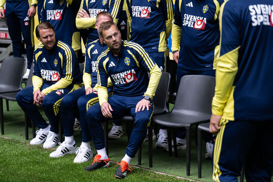 Assistant coach Sebastian Larsson of the Swedish national