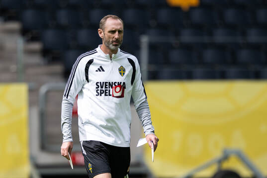 Assistant coach Andreas Georgson of the Swedish national