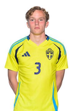 Viggo Fälth