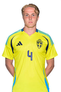 Hannes Burlion