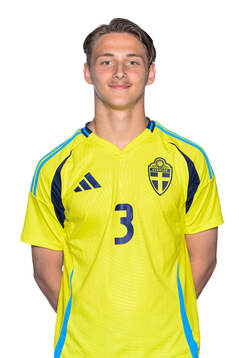 Amer Zeljkovic
