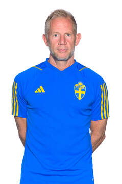 Naprapat Stefan Larsson