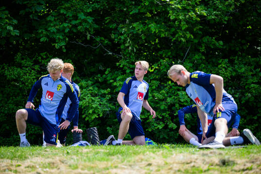 Charlie Rosenqvist and Fabian Björklund of the Swedish