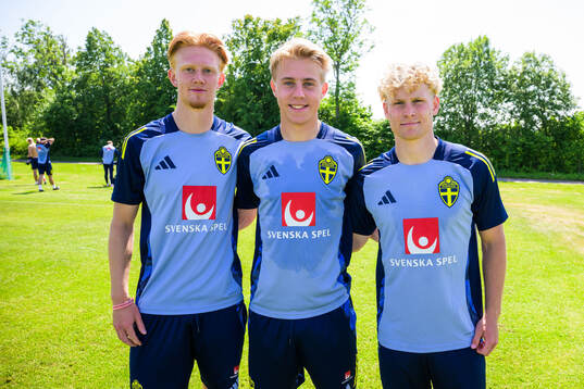Elias Eriksson, Charlie Rosenqvist and Fabian Björklund of