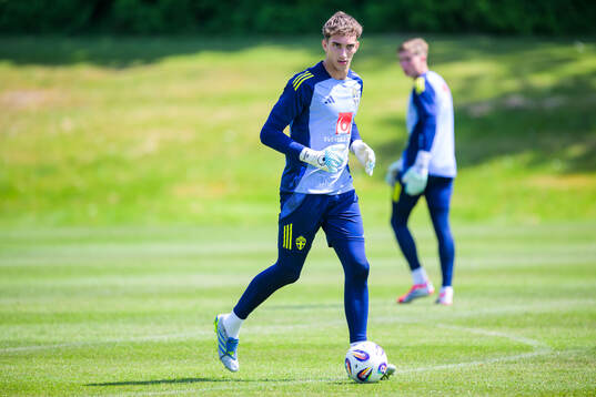 Of the Swedish under-21 national football team