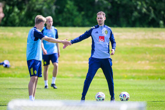Head coach head Daniel Bäckström of the Swedish under-21