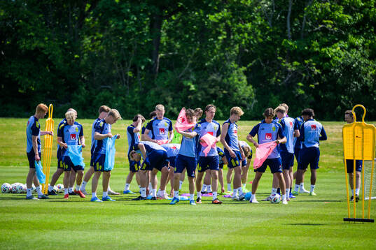 Players of the Swedish under-21 national football team