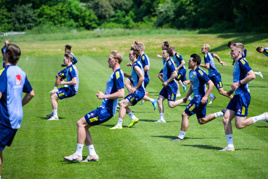 Players of the Swedish under-21 national football team