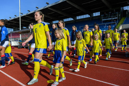 Players of Sweden