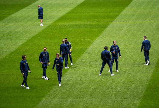 Players of Sweden