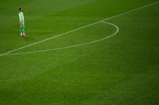 Goalkeeper Kristoffer Nordfeldt of Sweden looks dejected