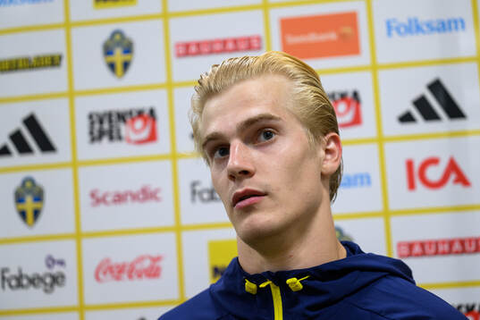 Lucas Bergvall of Sweden is interviewed