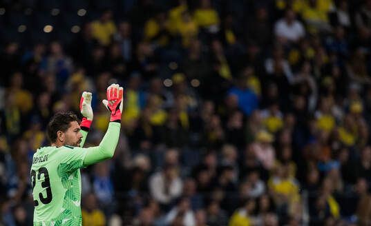 Goalkeeper Kristoffer Nordfeldt of Sweden