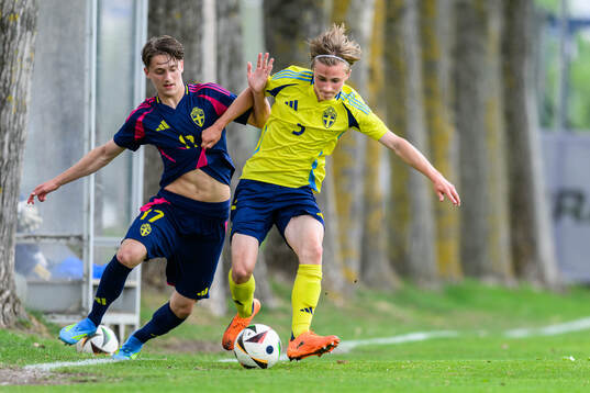 Amer Zeljkovic and Hugo Lindskog