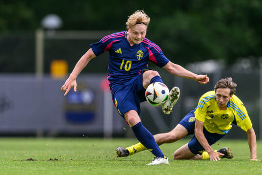Jonathan Edenvik