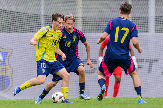 Elias Pelgander and Isak Järdler